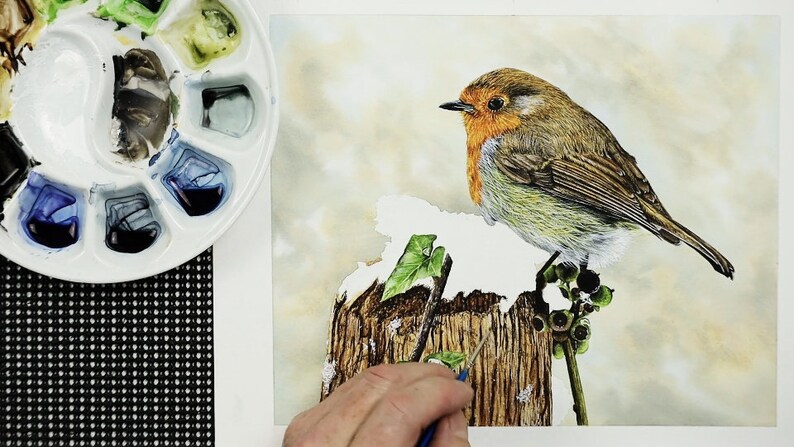 In this image the robin, post and ivy are fully painted, but Paul has left the snow section completely white so far, so just the paper showing.