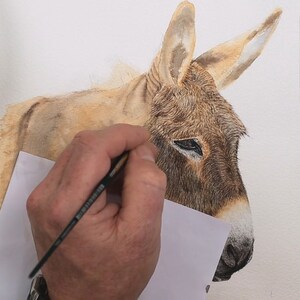 Paul is shown working on very fine details around the Donkey's forehead.  He has already completed this detail on its nose and muzzle.