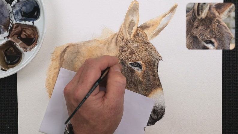 Paul is shown working on very fine details around the Donkey's forehead.  He has already completed this detail on its nose and muzzle.
