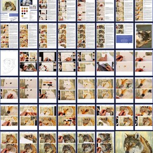 An overview image of the wolf painting lesson, this has well over 40 pages of written and photographic guidance.  The photographs have been taken of Paul's painting as it progresses.