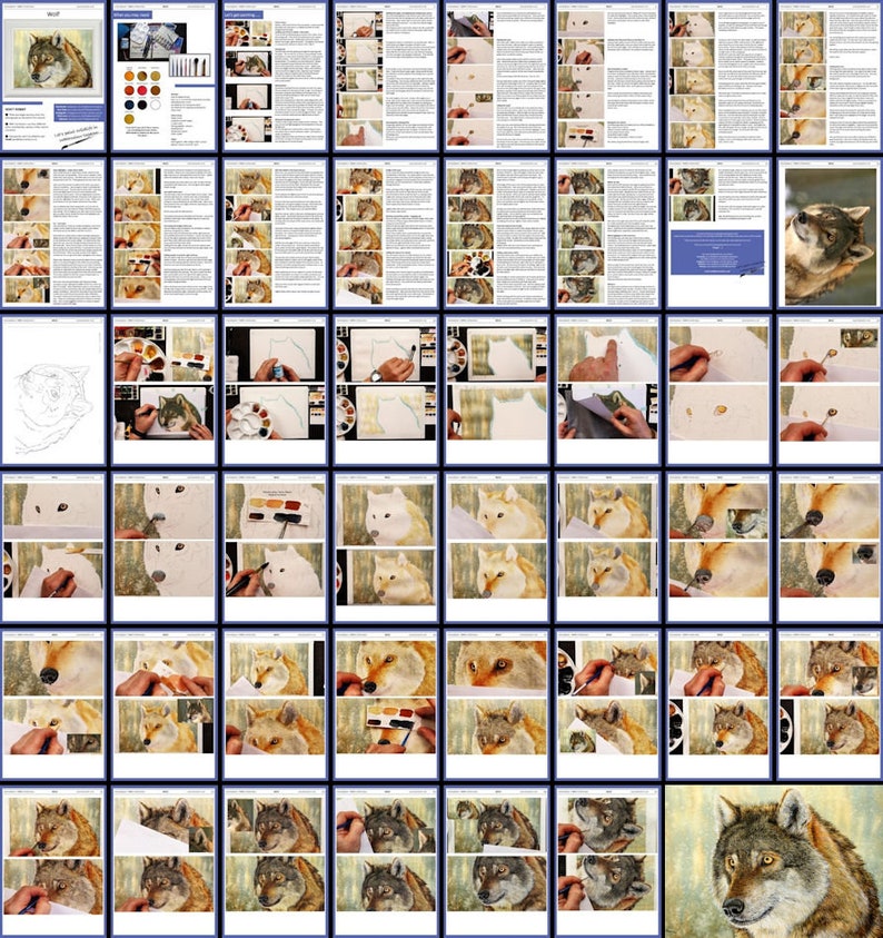 An overview image of the wolf painting lesson, this has well over 40 pages of written and photographic guidance.  The photographs have been taken of Paul's painting as it progresses.