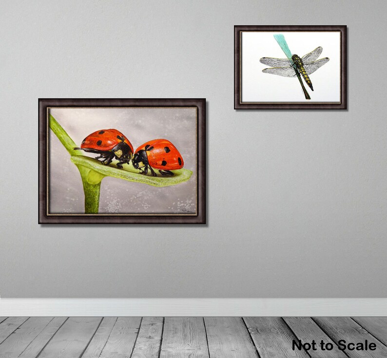 In this photo the ladybird painting is shown in a dark frame, hung on a grey wall.  There is also a painting of a dragonfly, slightly smaller and to the right.