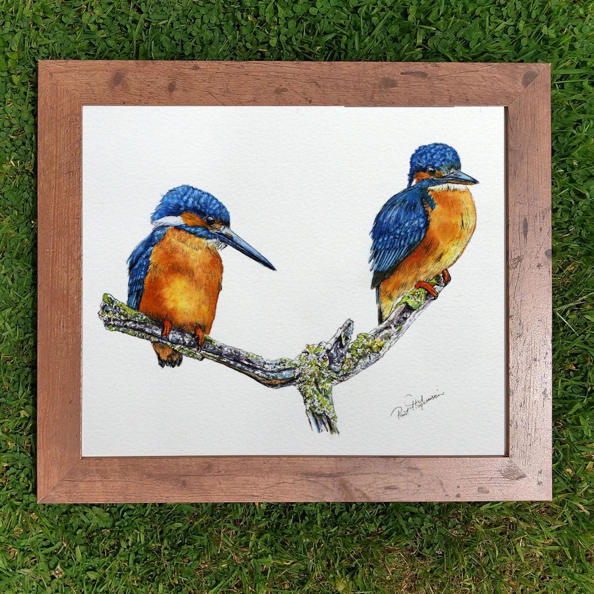 オリジナルのペン＆ウォッシュカワセミの絵画、インクの鳥の絵、リアル