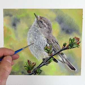 Paul finishing off a very detailed painting of a chiffchaff bird.  He is working on the chest which is a pale yellow colour, the rest of the bird is pale brown.  The bird is perched on a thin branch with buds about to open.