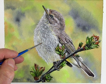 ORIGINAL Bird Watercolour Painting, Chiffchaff Watercolor Illustration, Detailed Wildlife Artworks