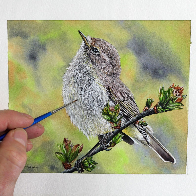 Paul finishing off a very detailed painting of a chiffchaff bird.  He is working on the chest which is a pale yellow colour, the rest of the bird is pale brown.  The bird is perched on a thin branch with buds about to open.