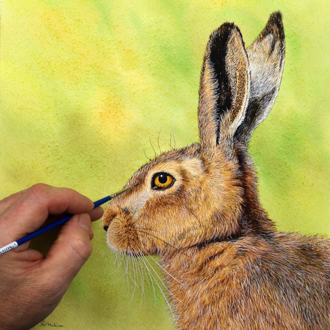 オリジナル水彩画「うさぎ」、水彩画、リアルな野生動物のイラスト