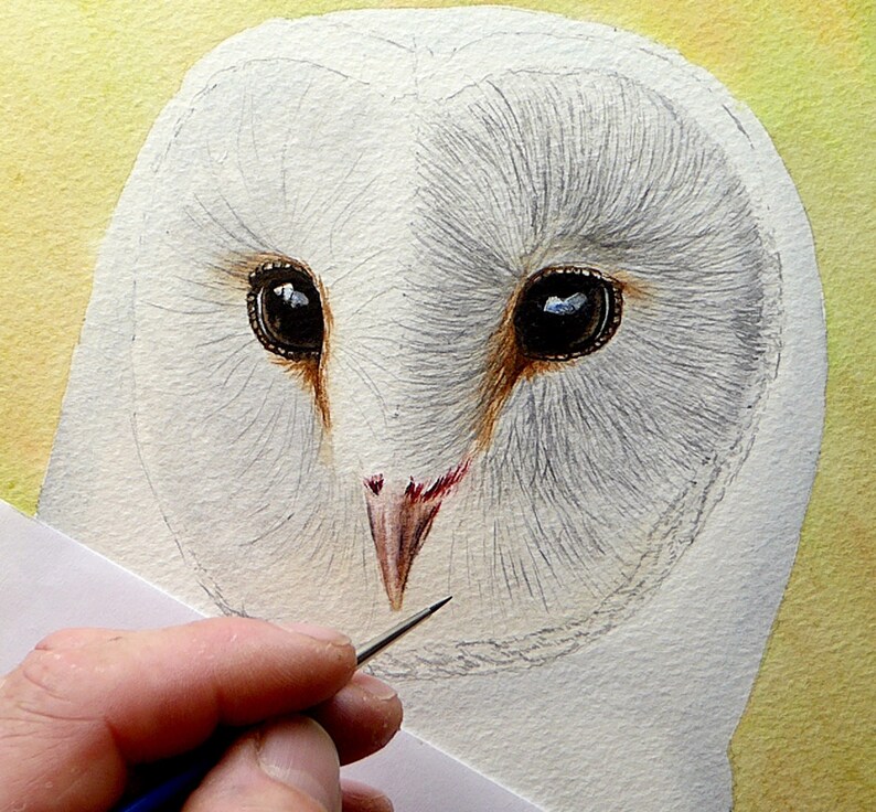 Step by Step Owl Painting Learn to Paint Watercolor Tutorial Etsy