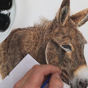 The donkey is now well on the way to completion with all the darker details almost complete.  Paul is working on building up the tonal differences which are giving the animal shape.