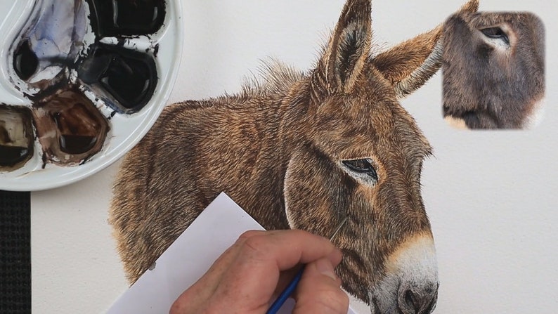 The donkey is now well on the way to completion with all the darker details almost complete.  Paul is working on building up the tonal differences which are giving the animal shape.