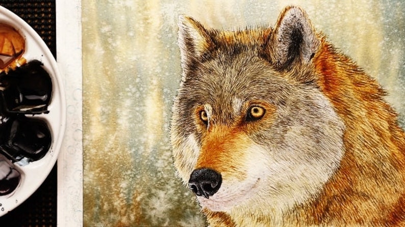 The wolf is really coming on in this painting, there are many layers of fine fur lines that have been applied, and these are starting to give the animal a realistic shape and form.