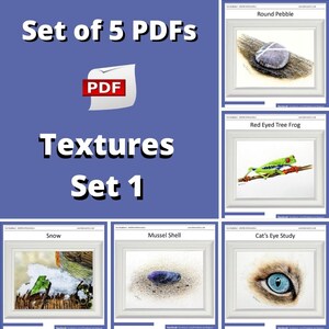 May include: Set of 5 PDF files with images of textures, including a round pebble, a red-eyed tree frog, snow, a mussel shell, and a cat's eye.