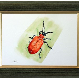 ORIGINAL Watercolour Insect Illustration, Watercolour Wildlife Artwork, Scarlet Lily Beetle Painting, Realistic Watercolor Art, Insect Gift image 6