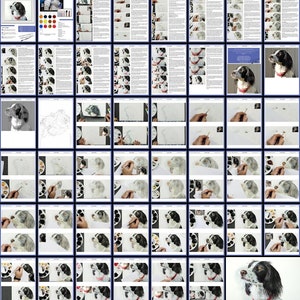 The spaniel lesson shown progressing through an overview of all the pages in the tutorial download.  These are full of photos and text, alongside the reference photo, outline drawing and materials list.