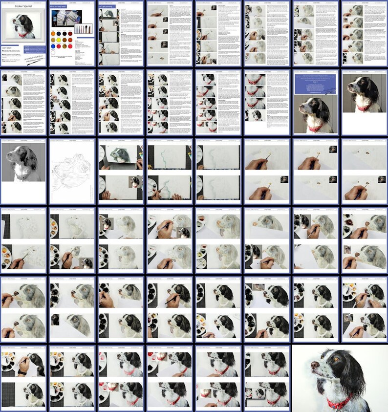 The spaniel lesson shown progressing through an overview of all the pages in the tutorial download.  These are full of photos and text, alongside the reference photo, outline drawing and materials list.