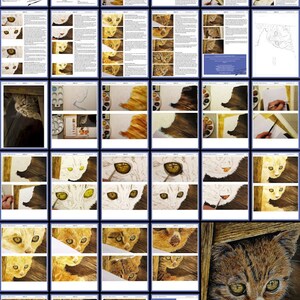 The whole cat painting lesson laid out as a collage of the PDF pages.  The painting has been photographed as Paul has worked on it, and these show how it builds from start to finish.  There are also lots of written instructions too.