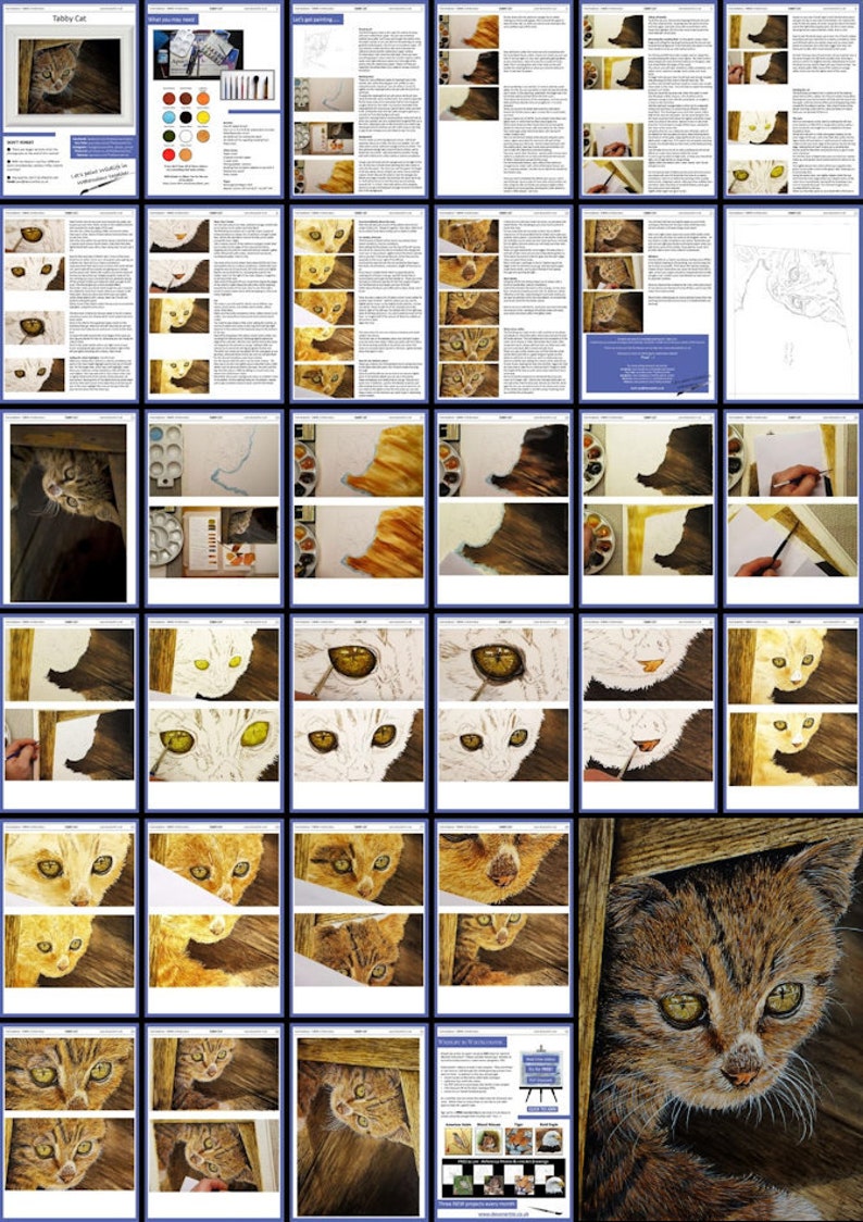 The whole cat painting lesson laid out as a collage of the PDF pages.  The painting has been photographed as Paul has worked on it, and these show how it builds from start to finish.  There are also lots of written instructions too.
