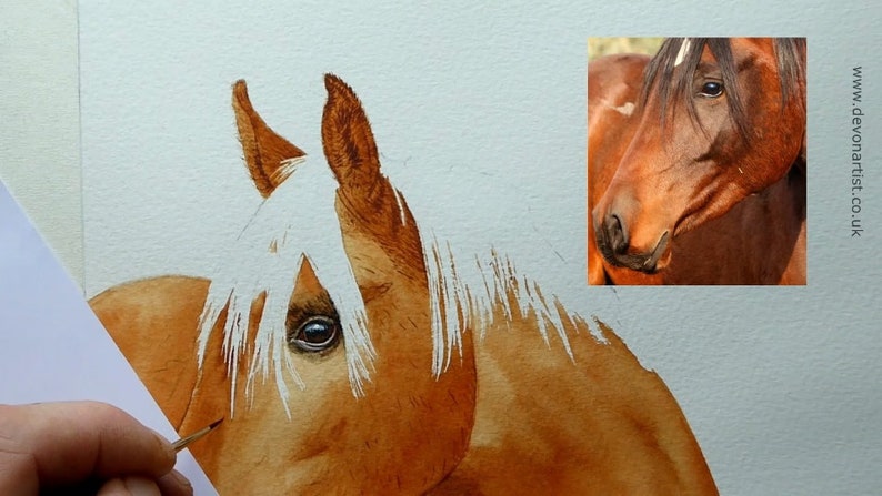 The masking fluid has been removed from the mane, and the wash layers are complete.  Paul has painted a very detailed eye, which is just under the mane.