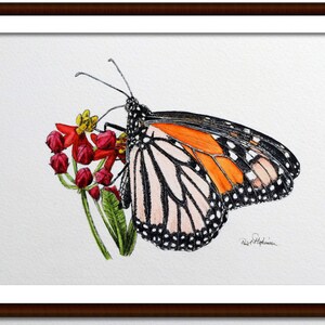 The monarch painting in a dark frame with a white mount.