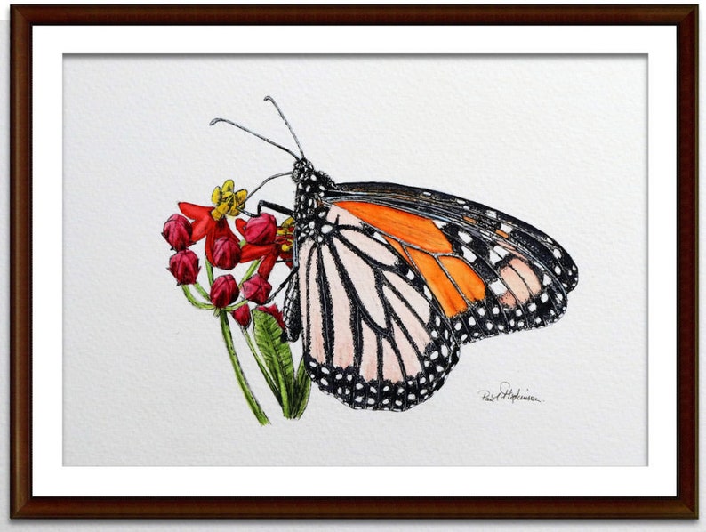 The monarch painting in a dark frame with a white mount.