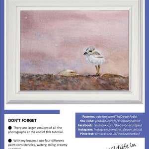 The front page of the lesson, this, has the finished chick painting in a white frame.  Underneath are links to Paul's other online painting channels.