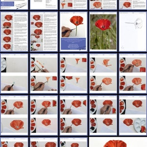 Here are all the stages of painting this poppy using watercolors.  I lay the lessons out in a systematic manner, with written and photographic explanation to guide you.