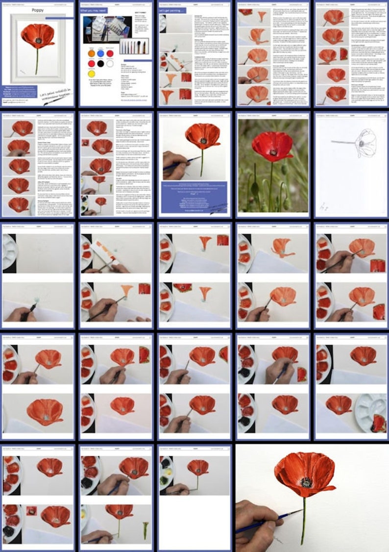 Here are all the stages of painting this poppy using watercolors.  I lay the lessons out in a systematic manner, with written and photographic explanation to guide you.