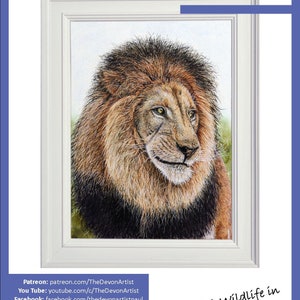 The first page of the lesson with the lion painting shown in a white frame.  Below are details about Paul's other online art channels.  Patreon, YouTube, Facebook, Instagram and Pinterest.