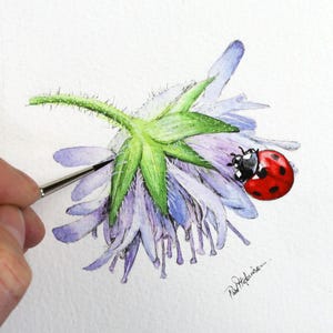 ORIGINAL Pen & Wash Aquarell Marienkäfer Illustration, realistisches Aquarell Marienkäfer