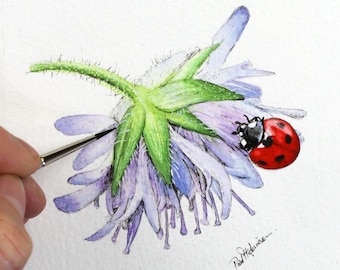 ORIGINAL Ladybird Illustration, Pen & Watercolour Nature Study Painting, Watercolor Ladybug
