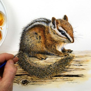 Könnte beinhalten: Ein Aquarellbild eines Streifenhörnchens, das auf einem Baumstamm sitzt. Das Streifenhörnchen ist braun und weiß mit einem buschigen Schwanz. Der Baumstamm ist braun und hat eine raue Textur.