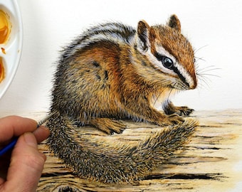 シマリスの水彩画チュートリアル：イラストアートガイド（PDF） - Etsy