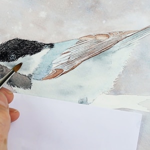 The next work in progress photos shows the black cap painted and filled in with tiny little feathers.  Paul is applying pale wash layers to the wings and face of the bird.