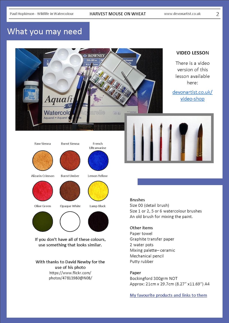 Page 2 of the lesson which details all the materials that will be needed for the project.    The paints are shown as coloured swatches, and everything else is in a list format.