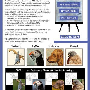 The last page of the lesson with photos of 4 more PDFs available from Etsy.  A nuthatch, puffin, labrador and kestrel.  Above are details about the artist's online watercolor video lessons.