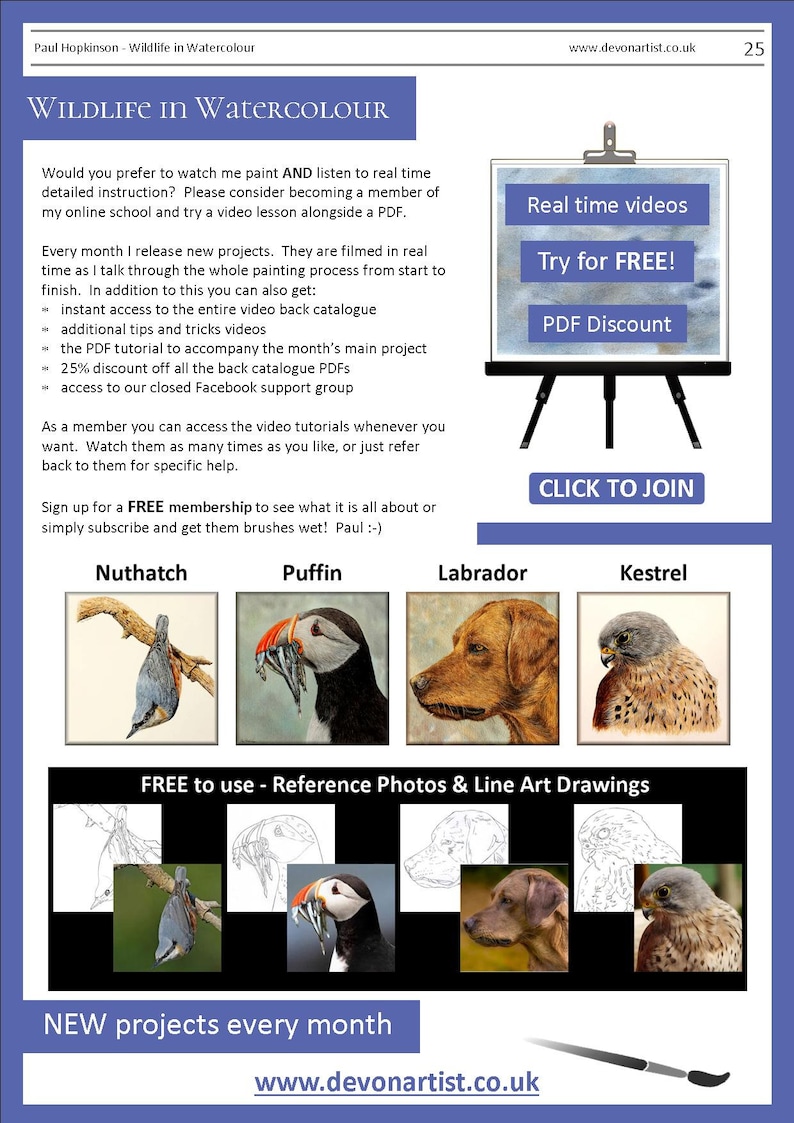 The last page of the lesson with photos of 4 more PDFs available from Etsy.  A nuthatch, puffin, labrador and kestrel.  Above are details about the artist's online watercolor video lessons.