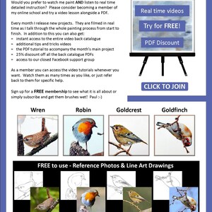 The last page of the lesson details the PDF tutorials that are available for the other 4 birds in the whole composition.  The wren, robin, goldcrest and goldfinch.  There are also details about online video lessons.