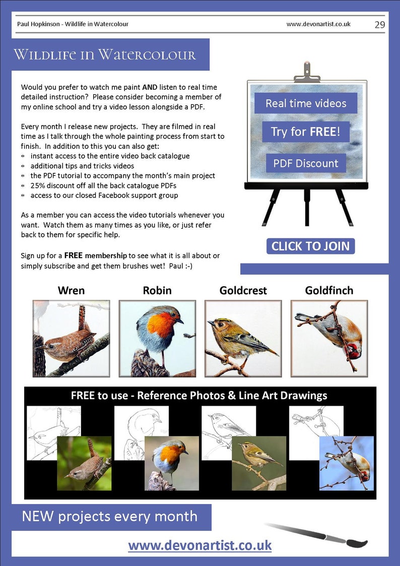The last page of the lesson details the PDF tutorials that are available for the other 4 birds in the whole composition.  The wren, robin, goldcrest and goldfinch.  There are also details about online video lessons.
