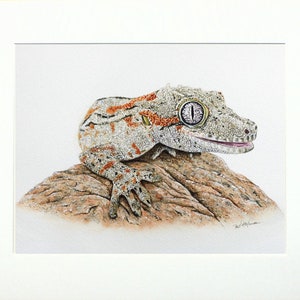 The reptile is shown in a cream card mount