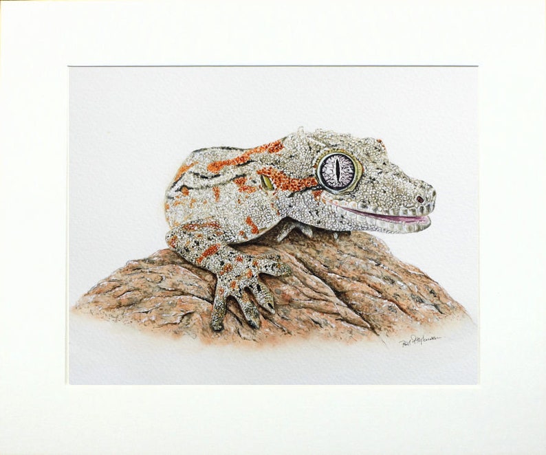 The reptile is shown in a cream card mount