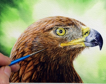 Original Watercolour Painting of a Golden Eagle, Realistic Bird Painting, Watercolor Wildlife Illustration