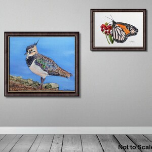 The framed lapwing painting hung on a wall alongside a butterfly painting.