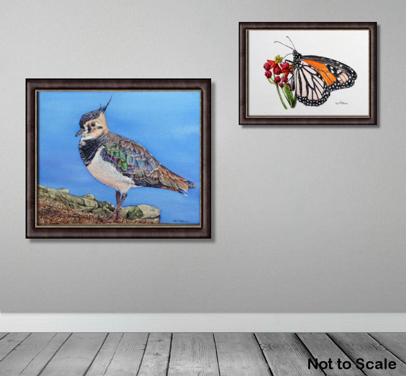 The framed lapwing painting hung on a wall alongside a butterfly painting.