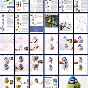 An overview image of all the pages in the blue tit painting lesson.  These are laid out with both written and photographic guidance.  The photos show Paul's painting as it progresses, start to finish.