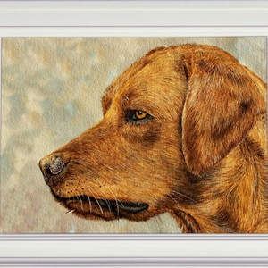 The finished Red Fox Labrador portrait in a white frame.