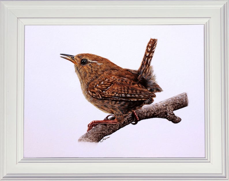 The finished painting of the wren displayed in a white frame.