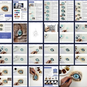 An overview collage of all the pages in the cat eye painting tutorial.  There are photos of the photo progressing, and also written text too.