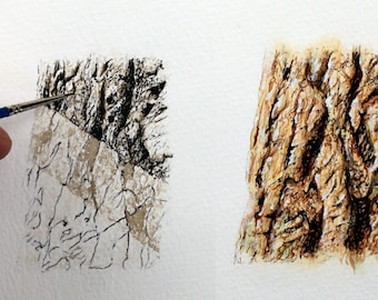 Watercolor Bark Painting Tutorial: Realistic Wood Study (PDF Download)