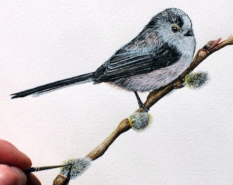 Long Tailed Tit Watercolor Painting Tutorial, Step-by-Step (PDF Download)