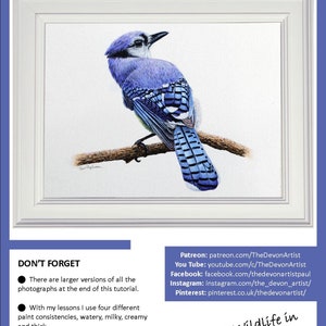 The first page of the lesson, which shows the finished blue jay painting in a white frame.  Below are links to Paul's other channels on the Internet.